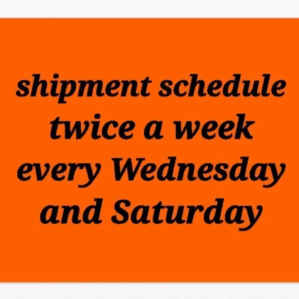 Avocado Phoenix Fire Moto Leggings Small Size, Made In USA - Picture 9 of 9